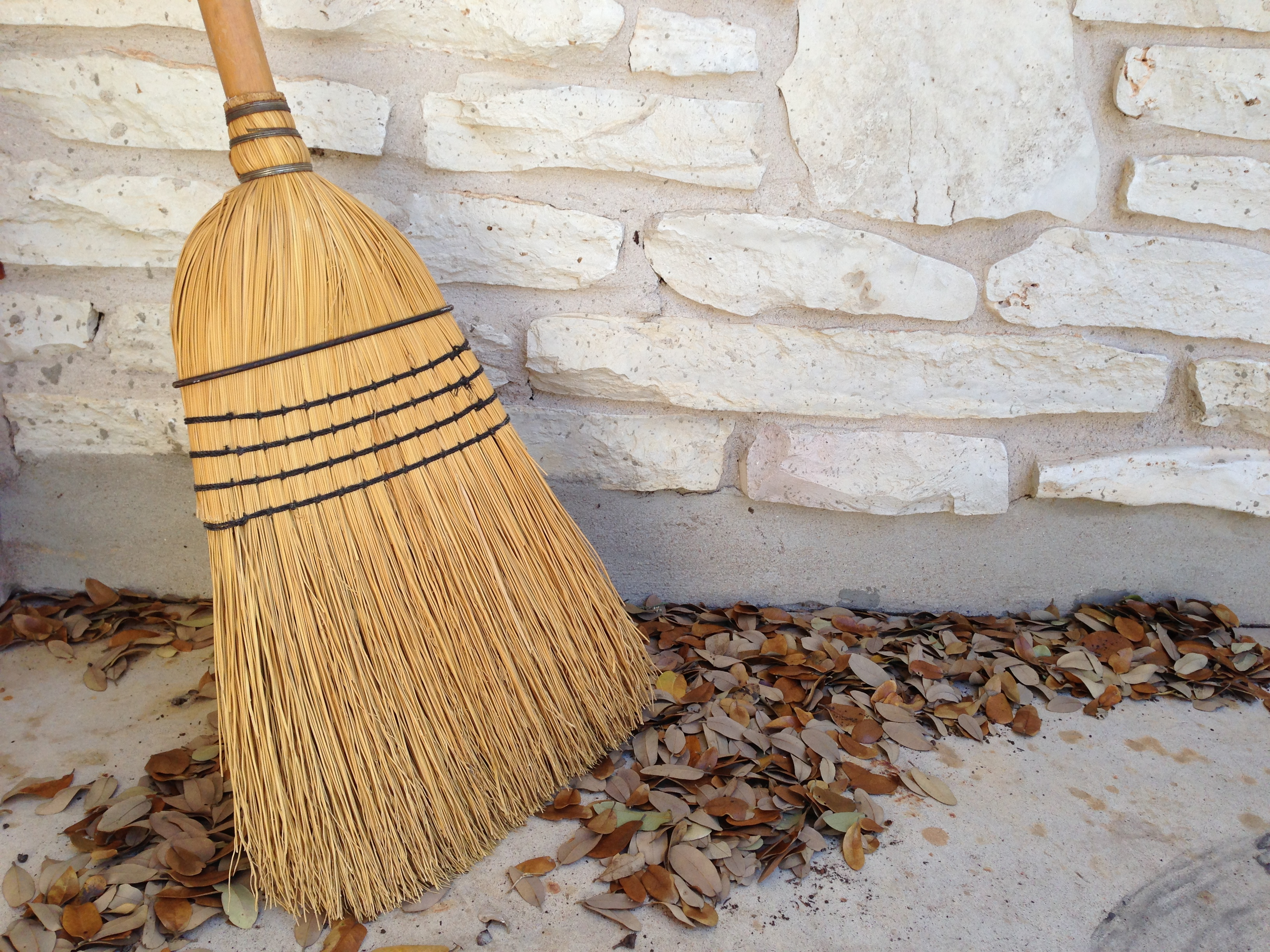 broom corn for broom making