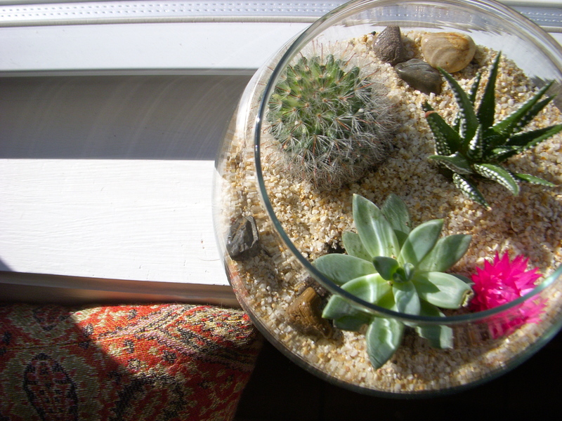 How to Make a Terrarium - Take a Look at these 10 Adorable Ideas diy moss mushrooms gnomes succulents easy diy cute indoor garden container12