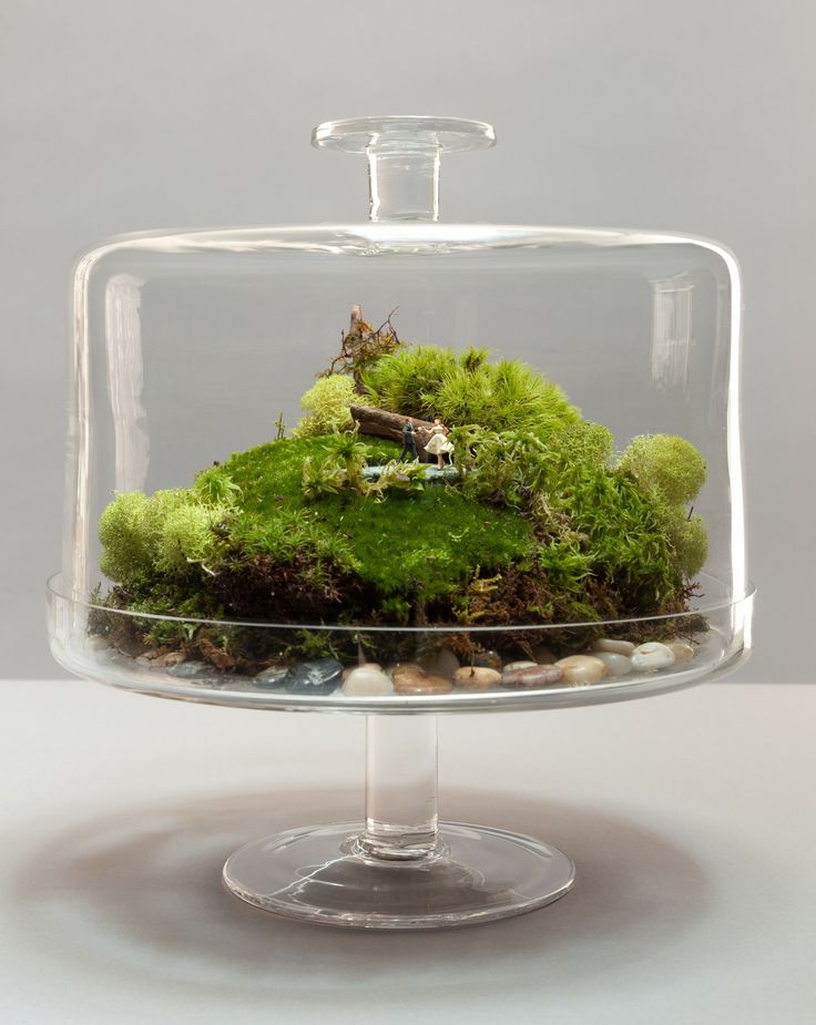 How to Make a Terrarium - Take a Look at these 10 Adorable Ideas diy moss mushrooms gnomes succulents easy diy cute indoor garden container9