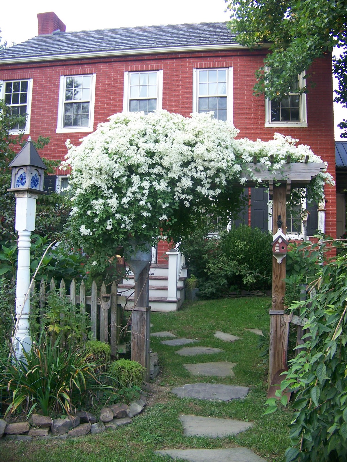 White flowers climbing on fence.