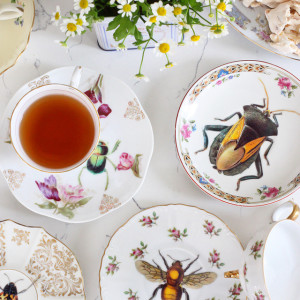 How to Jazz Up Flea Market Vintage Plates insect easy project thrift store budget cheap1