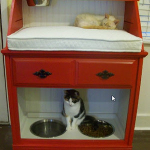 pet station completed full