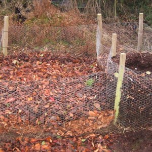 how-to-make-a-leaf-mold-for-compost-garden