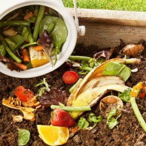 vegetable scraps and food for composting how to