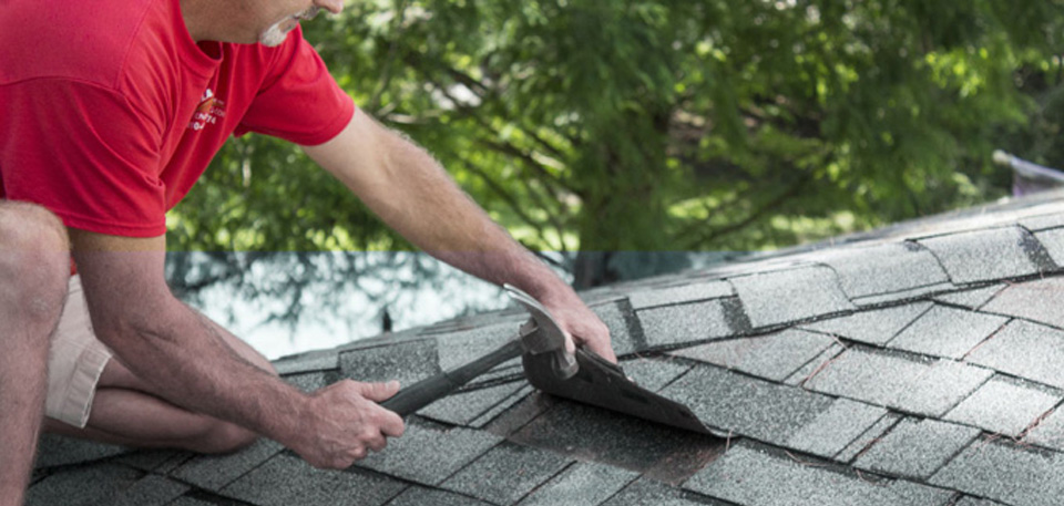 How To Maintain Your Roof And Hire The Right Professional Better HouseKeeper