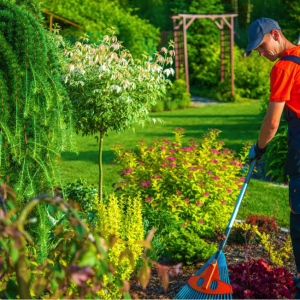 spring cleaning your home and garden the cheap way