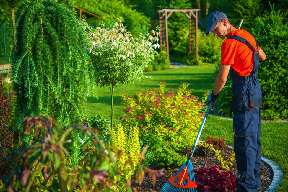 spring landscape cleanup