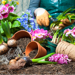 gardening ideas creating a picture perfect garden