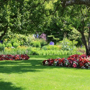 beautiful backyard landscaping green grass how to keep green