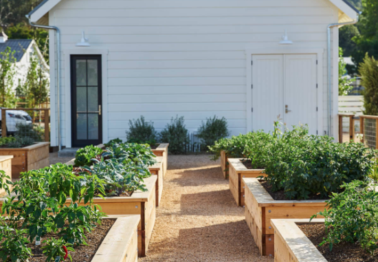 5 Clever Hacks When Building a Raised Garden Bed – Better HouseKeeper