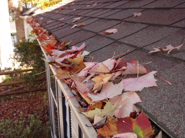 Gutters full of leaves on roof.