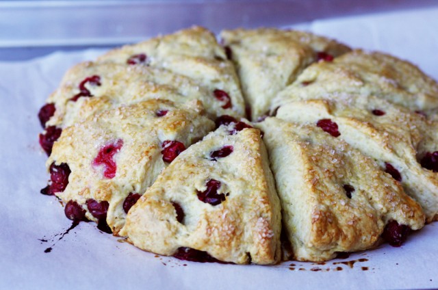 cranberry scones soft breakfast butter berries easy brunch breakfast desert butter jam coffee tea break