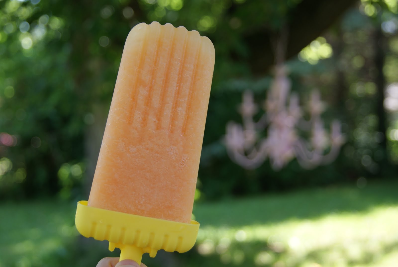 frozen yogurt cantaloupe popcicles summer healthy easy raw sugar melons