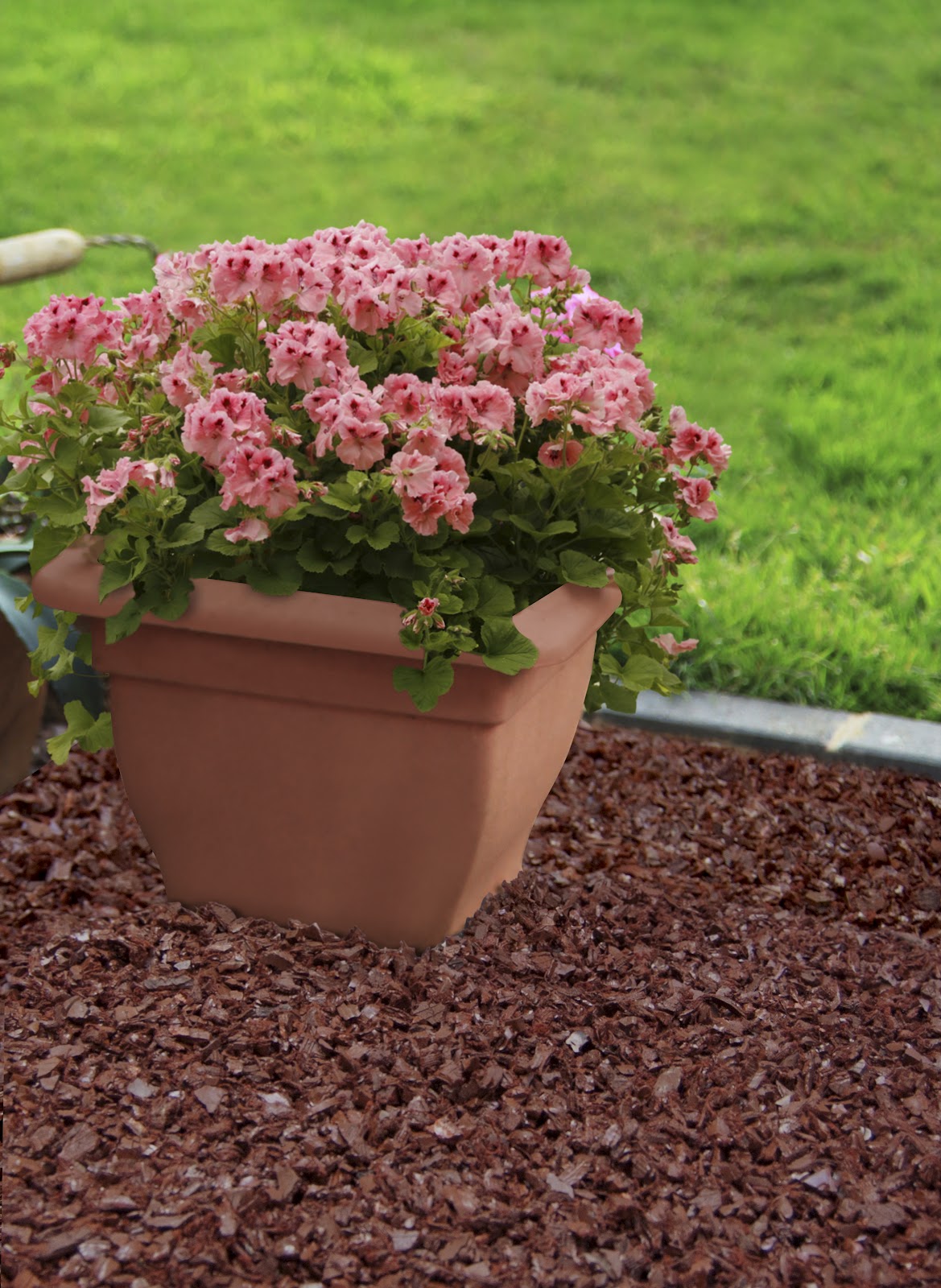 how to apply mulch garden flowers compost leaves grass clippings