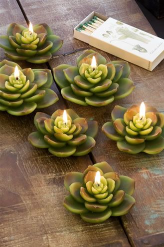 succulent candles green apple summers hottest hue decorating candles easy hot summer decor