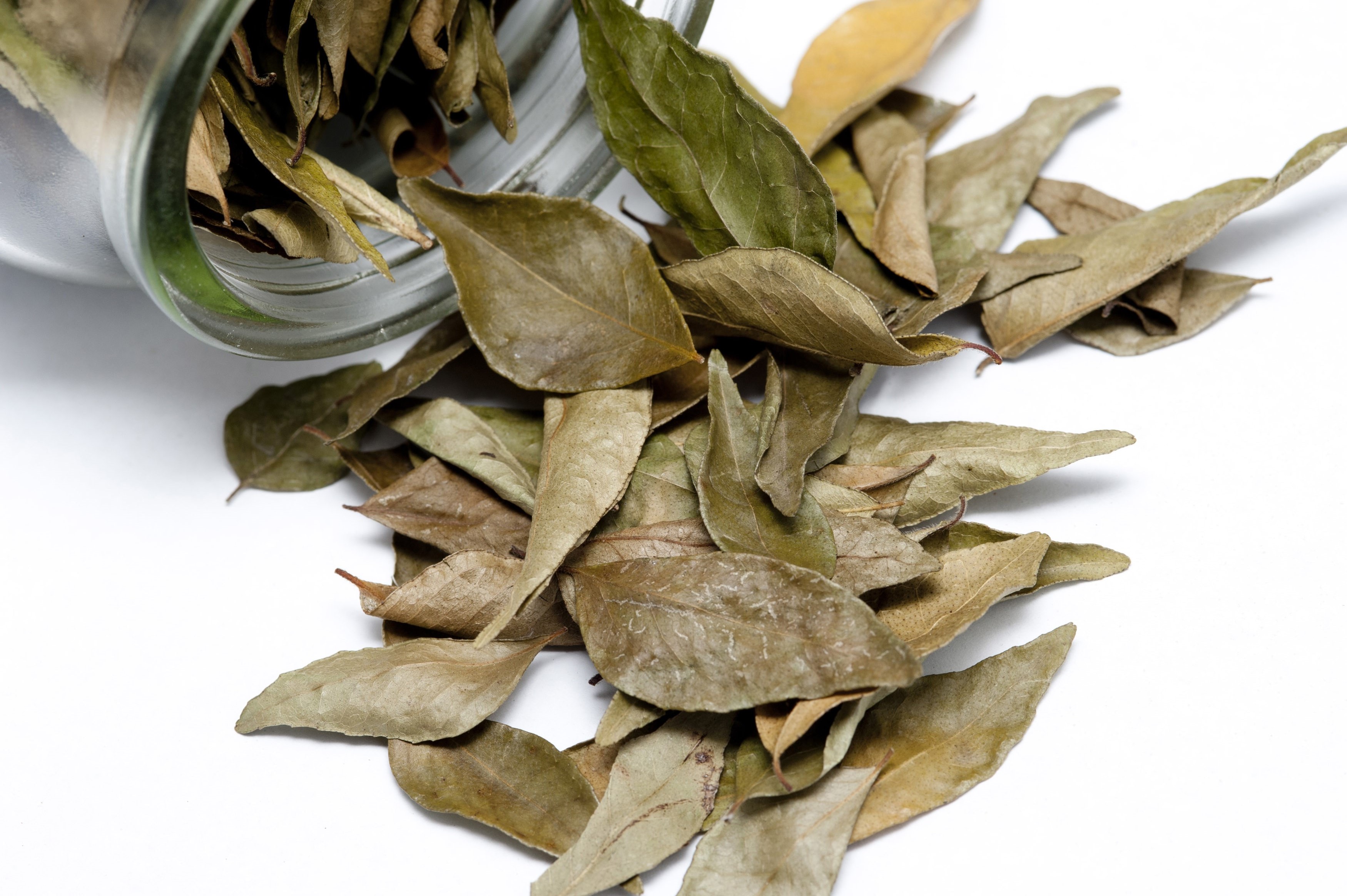 Dried bay leaves