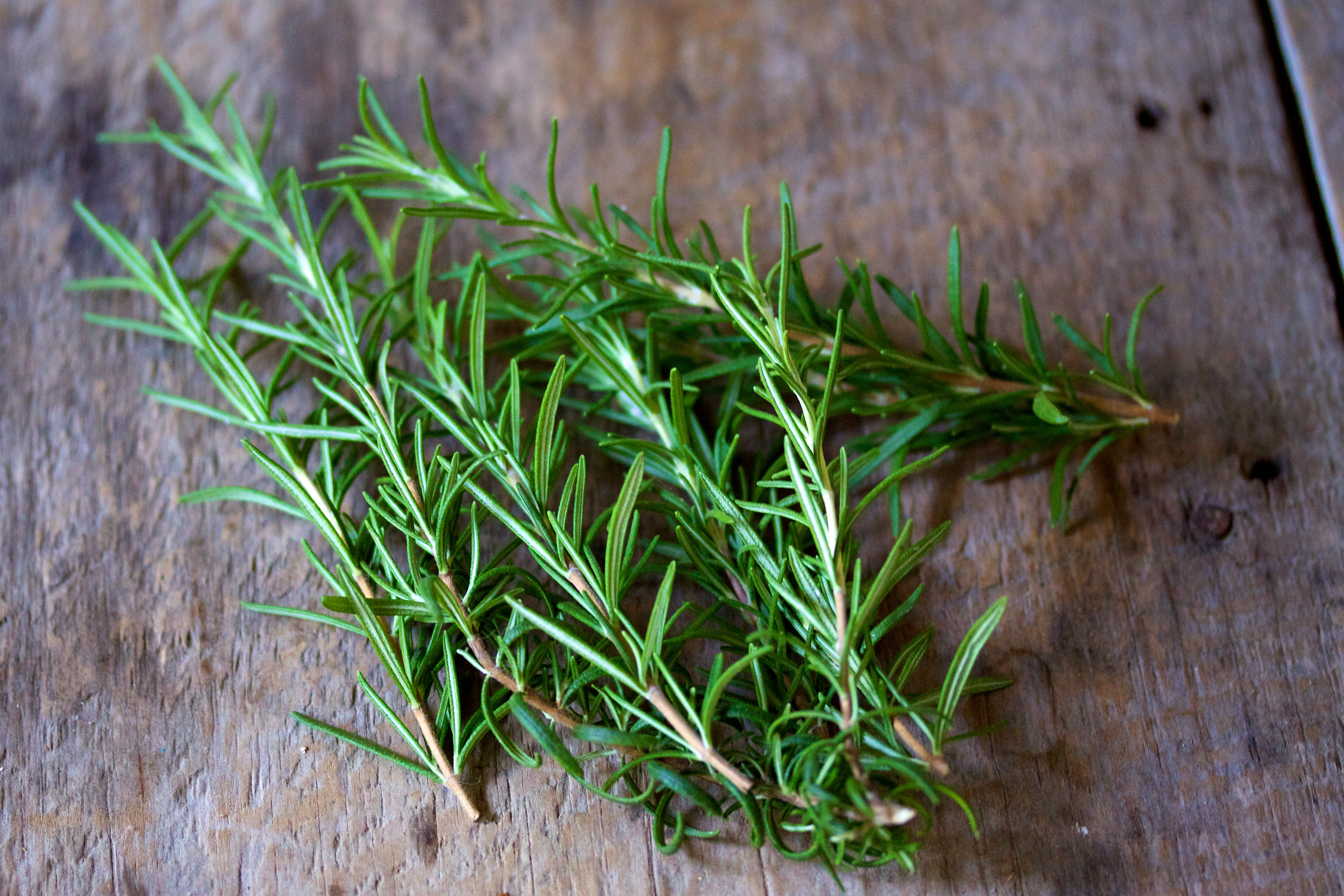 top 10 spices and herbs every kitchen needs rosemary oregano basil pizza pumpkin pie sauce