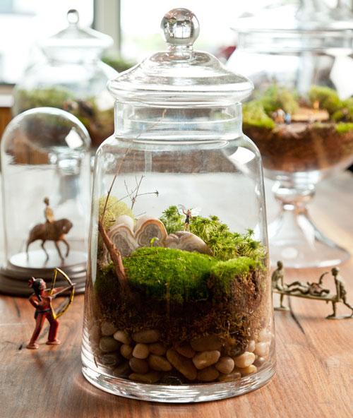 Buttercream Terrarium — Eat Cake Be Merry