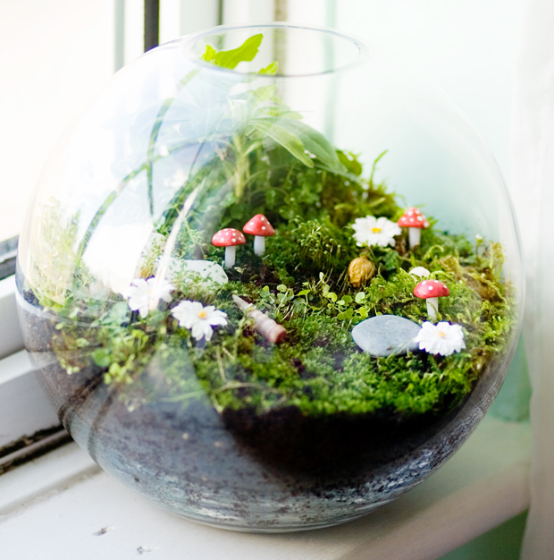 How to Make a Terrarium - Take a Look at these 7 Adorable Ideas - Better  HouseKeeper