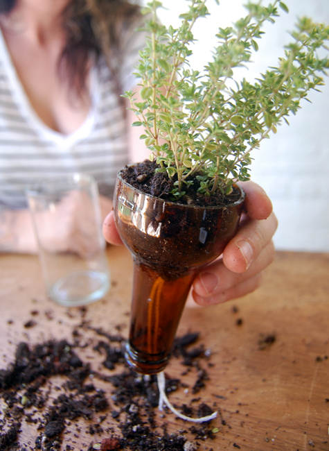 Never Forget to Water Your Plants Again- Self-Watering Planters bottle gardens beer bottles herbs easy no watering diy simple7