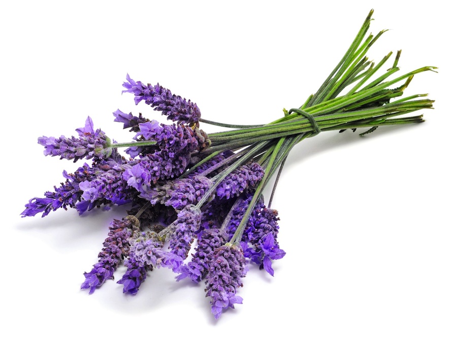 10 Ways to Use Lavender - From Baking to Relieving Headaches1