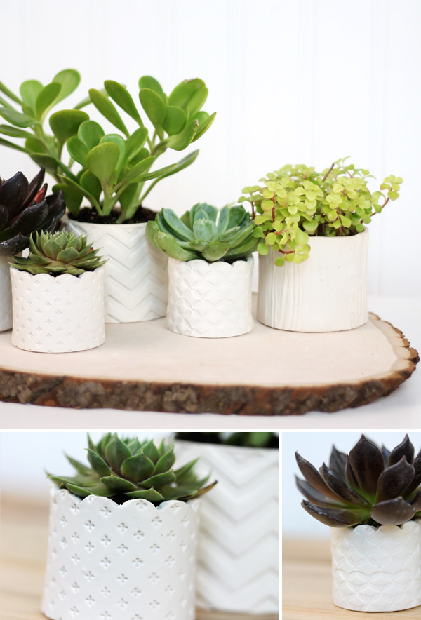 DIY Stamped Clay Succulent Pots clay gifts diy gardening decor project paint3