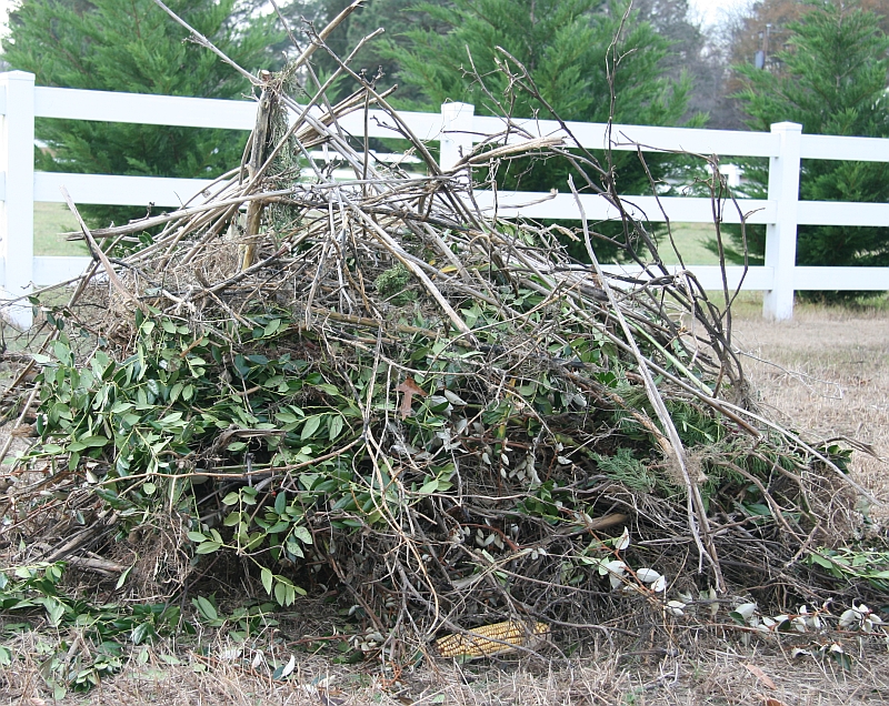 It's Time to Prep Your Garden for Next Year - Here's How soil soil testing spade weeds organic matter2