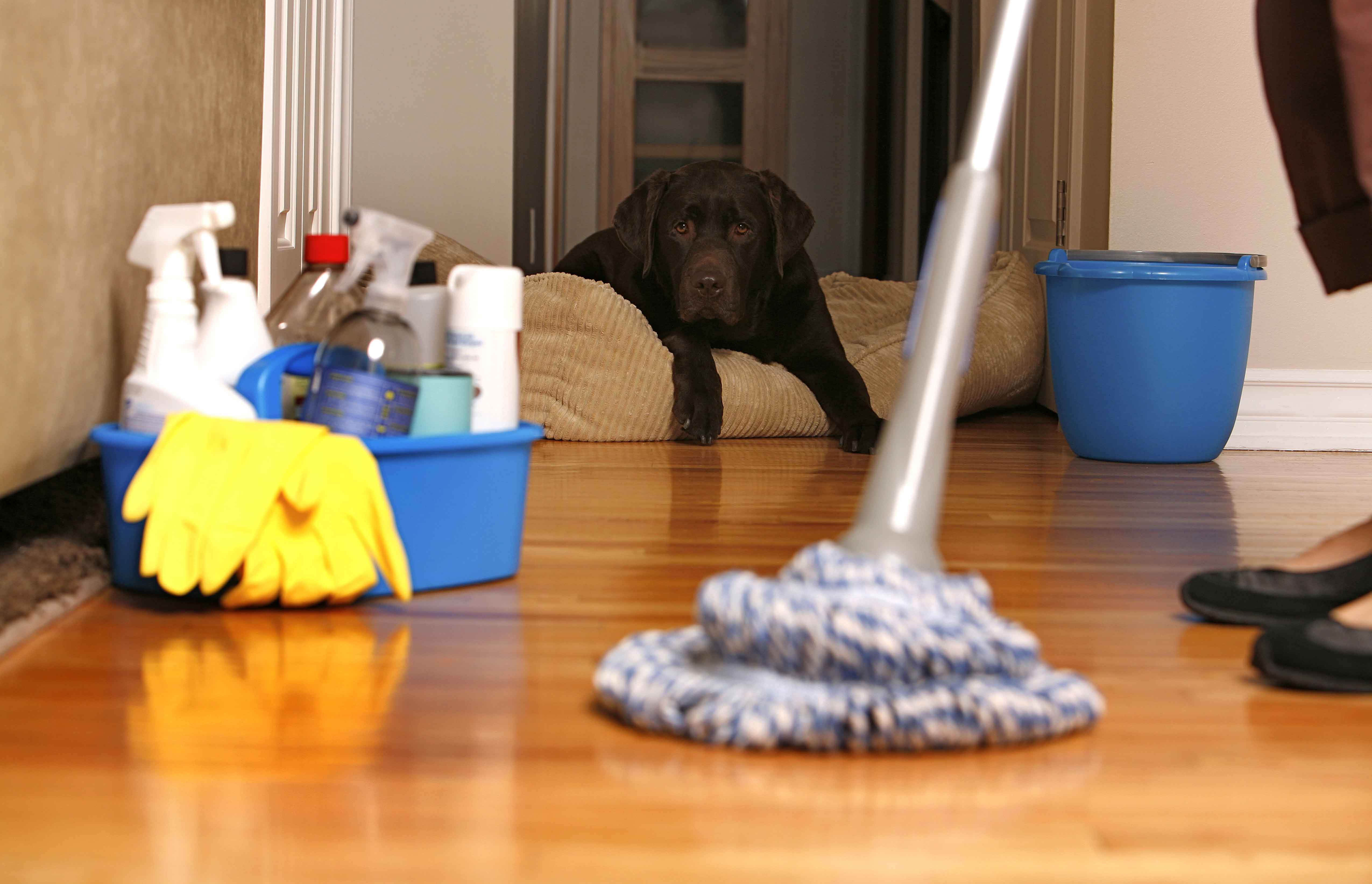 Top 10 Cleaning Tips From the Pros1
