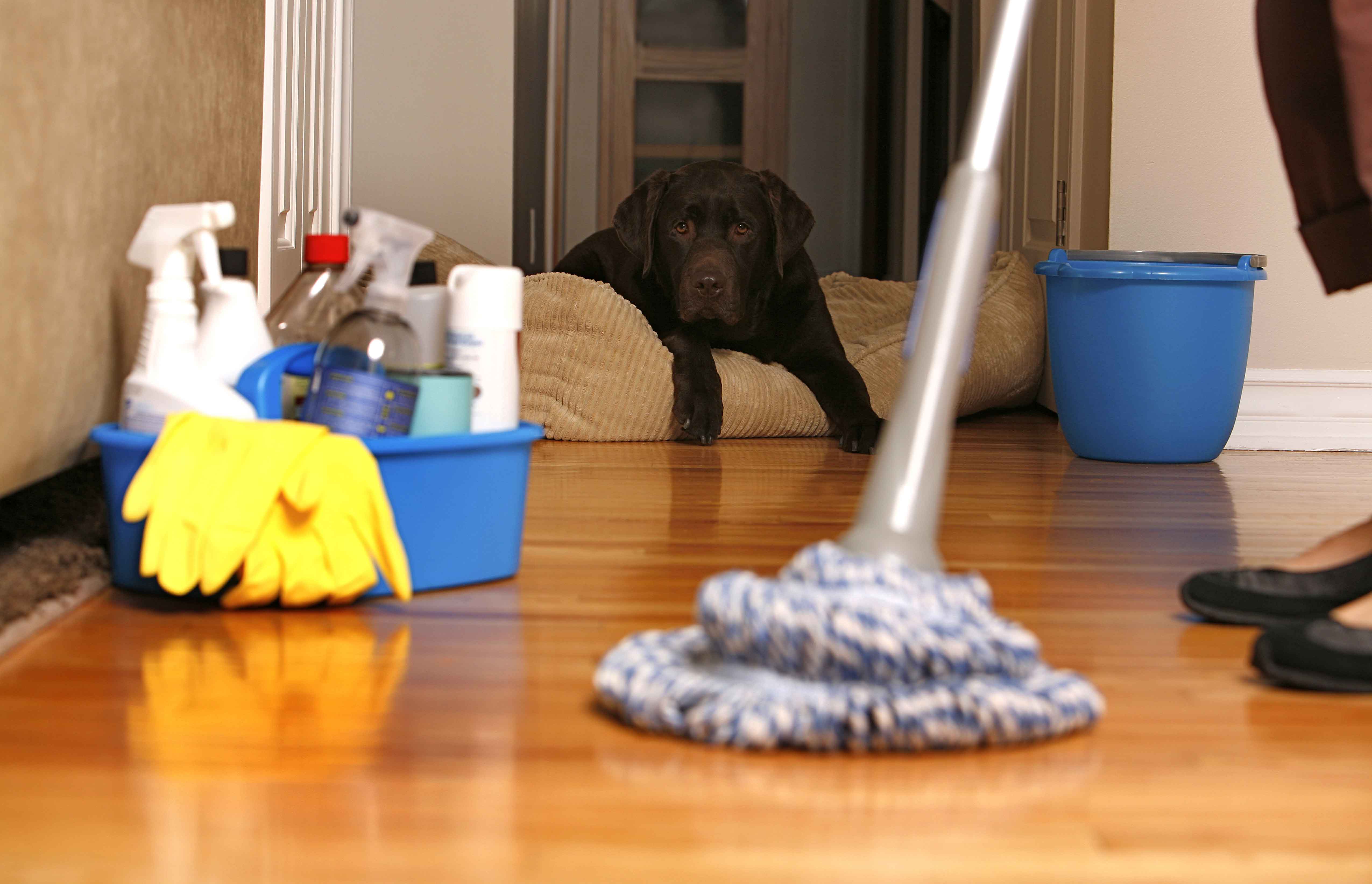 10 Speed Cleaning Tips that Save Time