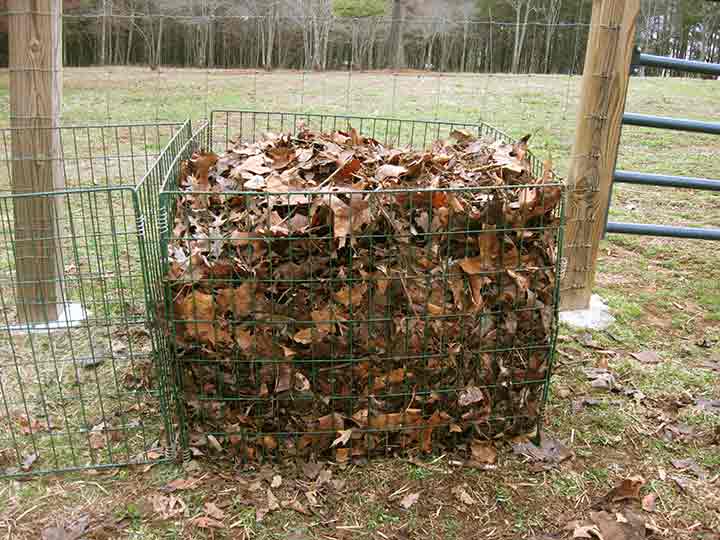 6 Useful Ways to Use Dried Up Fall Leaves kindling crafts mulch fertilizer lawn plants gardening compost5