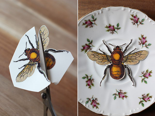 How to Jazz Up Flea Market Vintage Plates insect easy project thrift store budget cheap