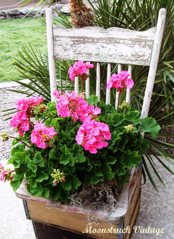 Gardening DIY: Turn a Thrift Store Chair Into a Cute Shabby Chic Inspired Planter! spring mother's day craft project gardening easy plants flowers gift present poem sugar hero cheap budget pinterest do it yourself garage sale5