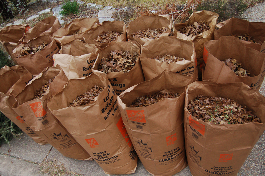 bagged-leaves-recycling-how-to-compost-leaves-for-gardening