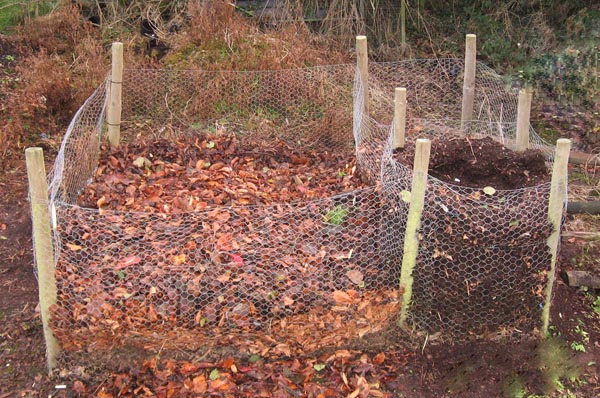 how-to-make-a-leaf-mold-for-compost-garden