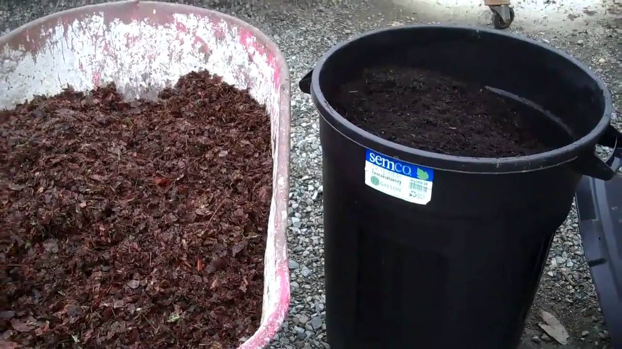 shredding-leaves-for-your-graden-compost