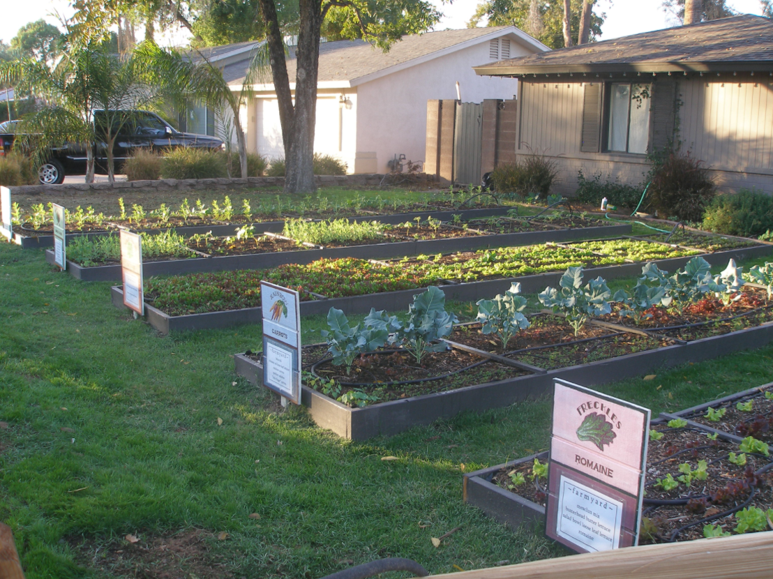 front yard vegetable garden ideas