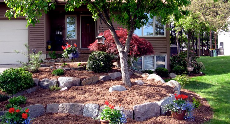 cold weather landscaping ideas