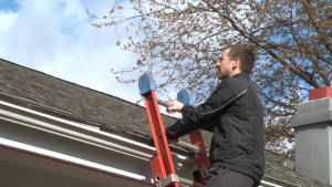 How To Maintain Your Roof And Hire The Right Professional Better Housekeeper