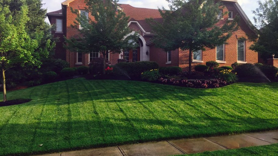 lush green lawn