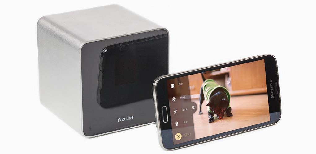 pet monitor camera wifi