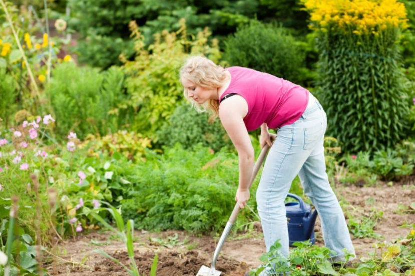 Tips for Avoiding Back Pain While Gardening - Better HouseKeeper