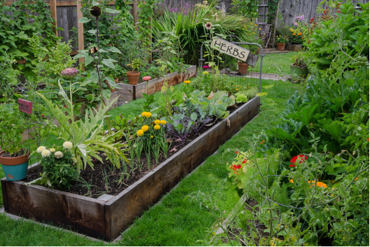 creating a picture perfect garden ideas