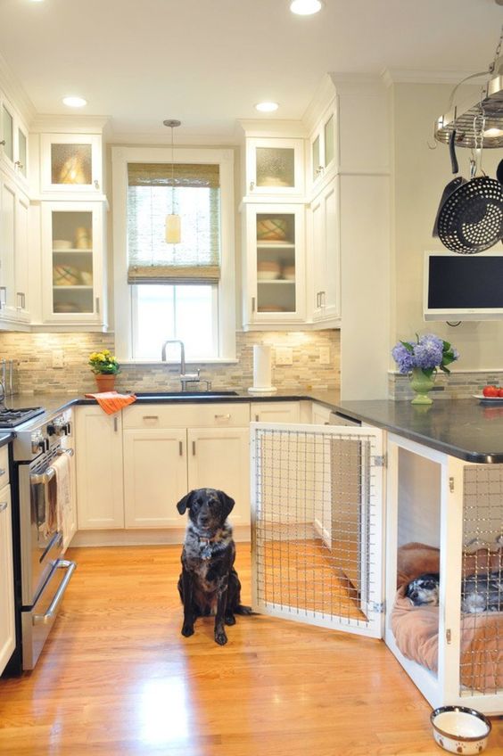 kitchen under counter dog pen