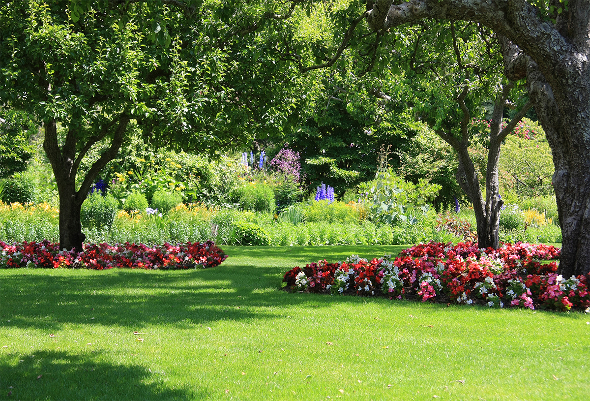 beautiful backyard landscaping green grass how to keep green