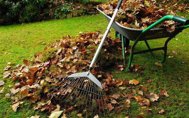 cleaning leaves rental