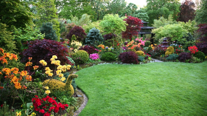 beautiful garden landscaping ideas