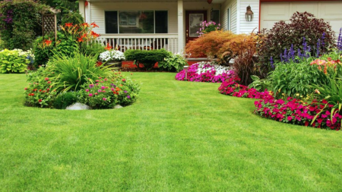 lawn maintenance tools everyone should have lawn care yard green grass how to