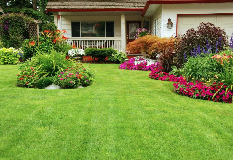 garden lawn maintenance