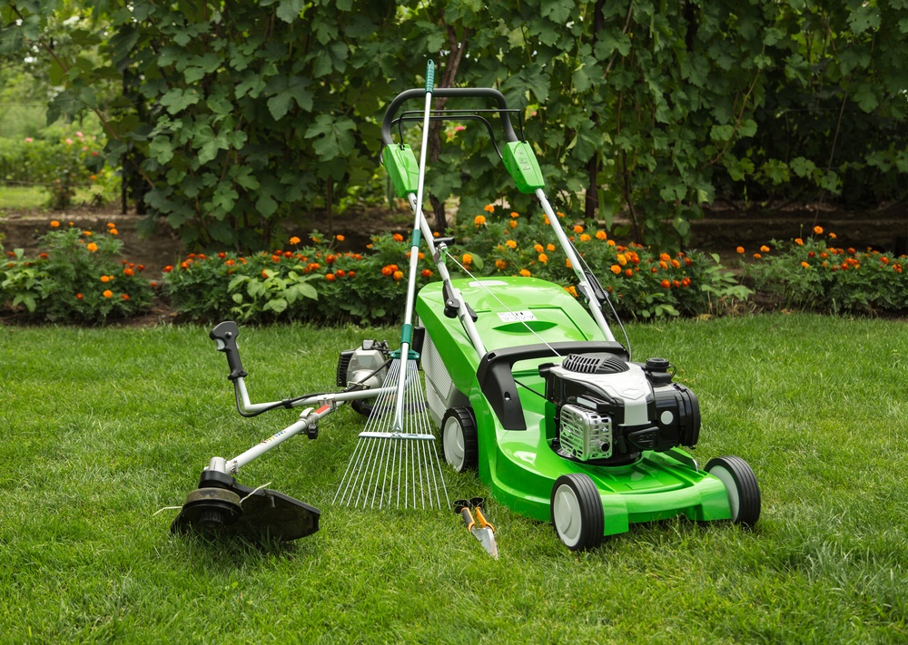 garden lawn maintenance