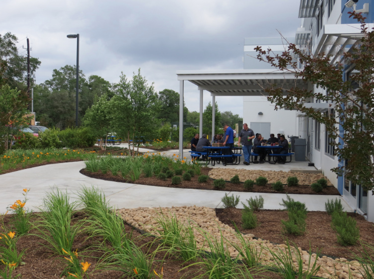 landscape design inside the office